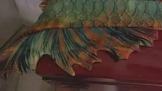 Unboxing Shello Mermaid Goldilicious betta fish mermaid tail vf