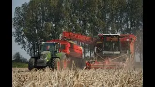 Loonbedrijf van Hal met Dewulf aardappel rooier bij Groep Waes / Waterlandkerkje