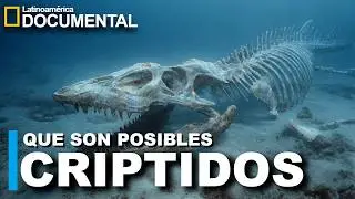 Most Plausible Cryptids Documentary | UNEXPLAINABLE |