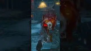 Treyarch НЕ разрабатывала это.