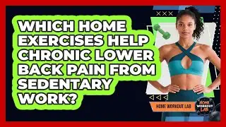 Which Home Exercises Help Chronic Lower Back Pain From Sedentary Work? - Home Workout Lab