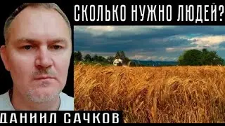 Даниил Сачков. Люди просыпаются.
