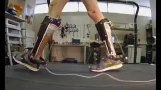 Unpowered exoskeleton for human walking