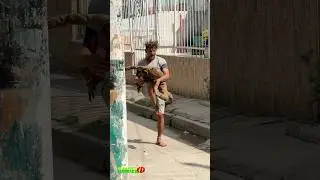 El zombie￼ Super divertido 🤣🤣 #bromita #comedia