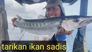 Jigging pagi hari di laut Baluran ikan lebih gacor 