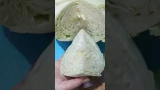 📌Veggie is life❣️fav. crunchy🥬#cabbage 🥬 cutting #asmr #viralvideo #trending #shorts