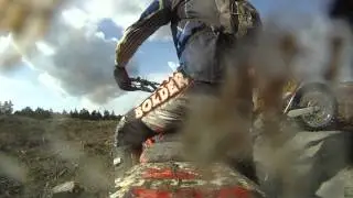 Avrostning