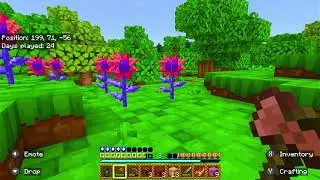 Minecraft in Sonic Texture 3