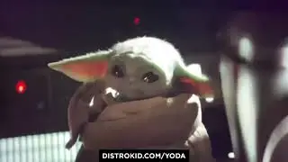 yoda binsobedde 1599649331