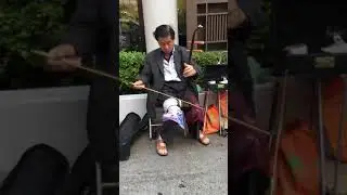 Street performer in Chinatown playing the violin erhu. I don&rsquo;t know what the tune is.