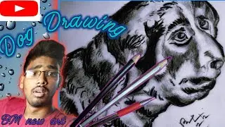 How to draw a realistic dog drawing #dogs #trending #video #dog #viral BM new art.