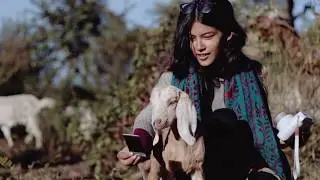 Solo is soulful | Bir, Himachal Pradesh | Zostel