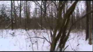 Purtle Springs Winter.mpg