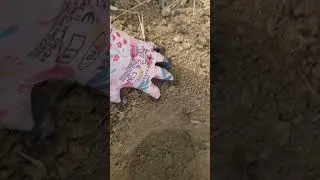 Sandy vs Clay soil, no scientific experiment, just a gardner's tips.