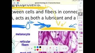 General Histology lecture 2 part 1 Connective tissue