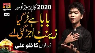 Baba Me Kalli | Kazzim Ali | New Noha 2020 | Tp Muharram