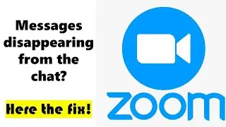 Zoom chats disappearing fix 🔧