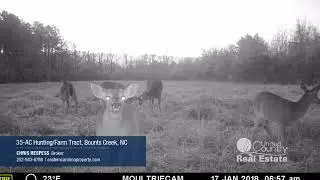 0 CCC #1 Road,  Chocowinity, NC 27817