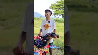 gak jadi main barongan #barongan #wsoteam