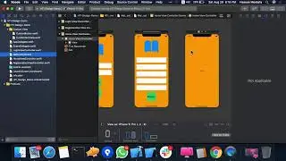 5- Pass Data Between ViewControllers (Present)