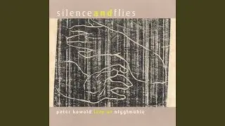 Silence and Flies, Pt. I (Live)