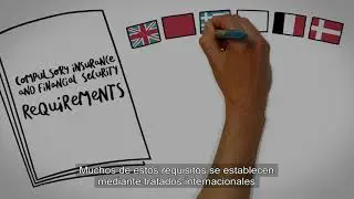 Una introducci&oacute;n al Grupo Internacional de P&I