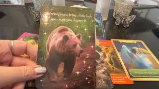 Overall February Monthly Spirit Reading/Messages-Making Headway! In Multiple Ways! Support!