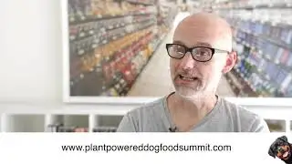 Plant-Powered Dog: Moby on the cruel paradox of 