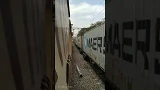 Crossing between Salasar express and Goods train/Ashram express 02916