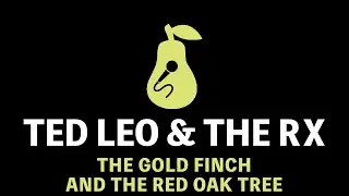Ted Leo and the Pharmacists - The Gold Finch and the Red Oak Tree (Karaoke)