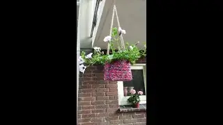 Easy Hanging Plant Pot Holder with Old Plastic & Fabric - DIY