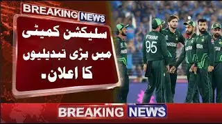 Big changes are likely to occur in Pakistan selection committee | Pakistan cricket team selectors