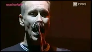 Die Ärzte - Live in Gampel am 17.8.2007 (Video)