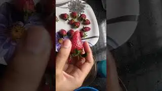 strawberry chocolate, home made strawberry chocolate#shortvideo  #beautiful #sweet #strawberry