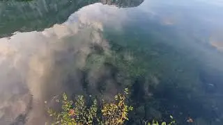 PESCE LUCCIO del LAGO di CAVEDINE VALLE dei LAGHI TRENTINO