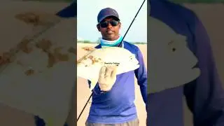 GT caught on Zman#DiesalMinnow#