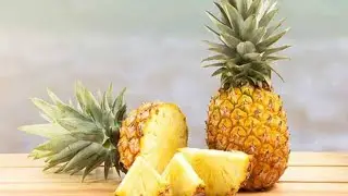 Pineapple Wine from Canned Juice!