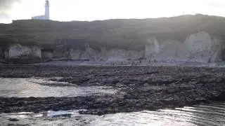 Flamborough  Selwicks Bay