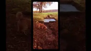 Field Walking Freaks : Roman Spring :