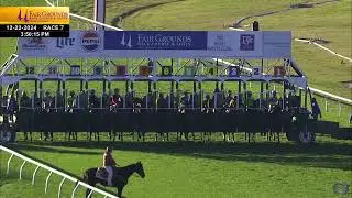 Tom's Magic - Fair Grounds Race Course (12/22/2024) - Maiden Special Weight