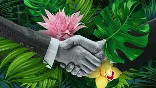 The European Green Deal