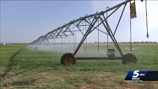 Drought Wheat Crop
