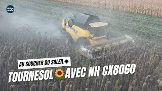 Moisson Tournesol 2022🌻 au coucher du soleil☀️ - NEW HOLLAND CX8060