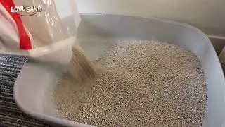 EMILY PETS CAT LITTER