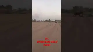 Garlic G1 Land preparation Pakistan Gold crop