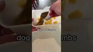 Make this easy FROZEN DOG TREAT RECIPE for your lucky DOG!!!