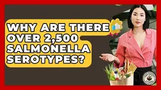 Why Are There Over 2,500 Salmonella Serotypes? - Food Safety Kitchen