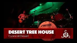 Desert Tree House - Cyancali Desert live @ SlowClub (Spiral Sessions)