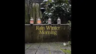 Soft Rain Sounds | Peaceful Winter Morning Backyard