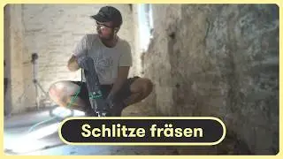 Neue Fr&auml;se, neues Gl&uuml;ck? &ndash; Der gro&szlig;e Test beim Dosenfr&auml;sen